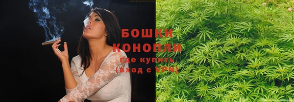 прущие грибы Лагань