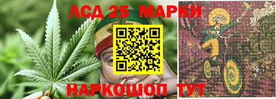 спиды Заволжье