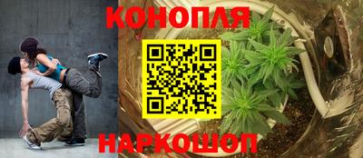 молекула духа Заводоуковск