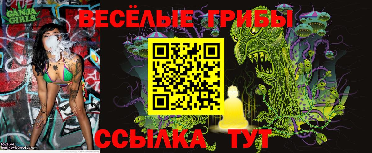 Псилоцибиновые грибы прущие грибы  Галлюциногенные грибы GOLDEN TEACHER  Вход с VPN  Туапсе 